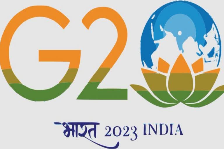 G20 Health Working Group Meeting