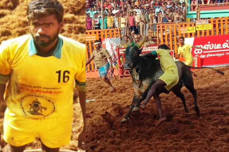 youth died after bull hit in Palamedu Jallikattu