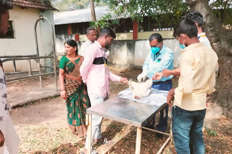 bird-flu-fear-in-chamarajanagar