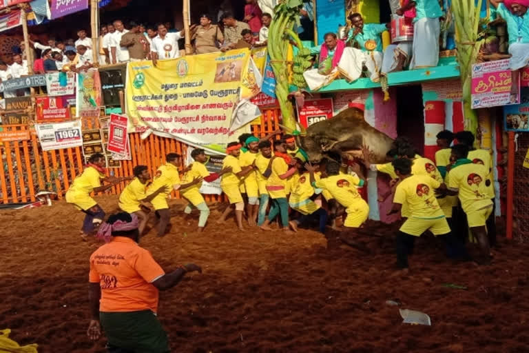 2023 Palamedu Jallikattu