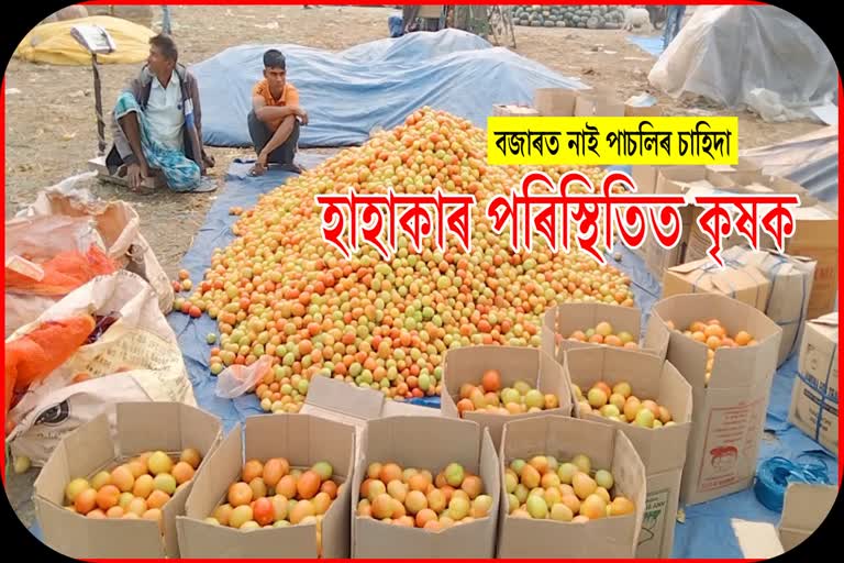 kharupetia wholesale vegetable market