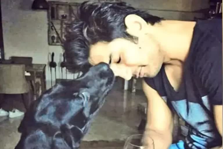 Actor Sushant Singh Rajput pet dog Fudge died