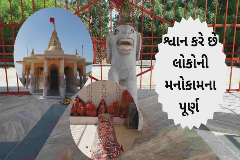 વિશ્વનું એકમાત્ર મંદિર, ટેકરી પર લોકોની મનોકામના પુર્ણ કરે છે શ્વાન