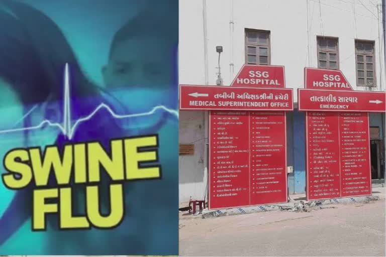 Swine Flu Influenza variant in Vadodara : ગર્ભવતી મહિલા સ્વાઈન ફ્લૂના ઇન્ફ્લુએન્ઝા વેરિયન્ટથી સંક્રમિત, એસએસજીમાં દાખલ