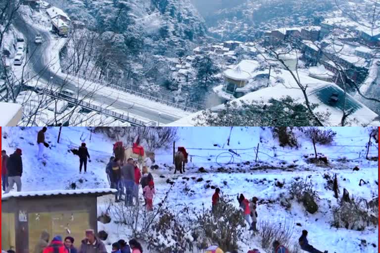 Himachal Simhla Snowfall Kurfi