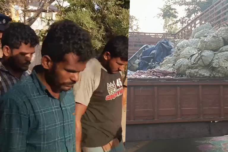 ganja smuggled from andra pradesh  ganja seized  ganja seized in tamilnadu  1200 kg ganja  tamilnadu special branch  latest news in idukki  കഞ്ചാവ് പിടികൂടി  ലോറിക്കുള്ളിൽ ചാക്കുകളിൽ നിറച്ച് കഞ്ചാവ്  കേരളത്തിലേയ്‌ക്ക് കഞ്ചാവ് കടത്ത്  തമിഴ്‌നാട് സ്‌പെഷ്യൽ ബ്രാഞ്ച്  1200 കിലോ കഞ്ചാവ് കണ്ടെത്തി  ഇടുക്കി ഏറ്റവും പുതിയ വാര്‍ത്ത  ഇന്നത്തെ പ്രധാന വാര്‍ത്ത