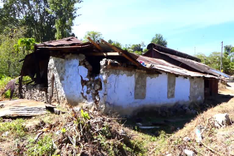 Wild Elephant attack  Idukki Panniyaar  Wild Elephant attacked ration Shop  Ration distribution  റേഷന്‍ കട തകര്‍ത്ത് അരി തിന്നു  റേഷന്‍ കട  അരിക്കൊമ്പന്‍  ഇടുക്കി ശാന്തൻപാറ  പന്നിയാർ എസ്‌റ്റേറ്റിലെ റേഷൻ കട  റേഷന്‍ കടയ്‌ക്ക് നേരെ ആക്രമണം  റേഷൻ വിതരണം  ആനയുടെ ആക്രമണം  ബ്രീട്ടീഷ് കാലഘട്ടത്തില്‍ പണിത കെട്ടിടം