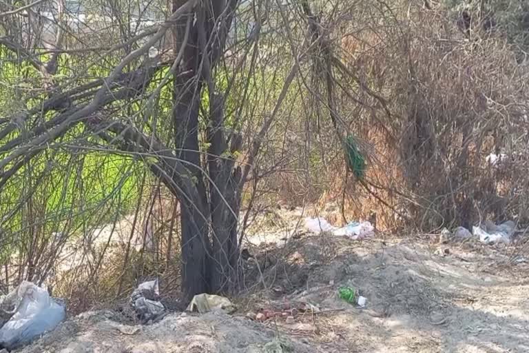 newborn dead body found in sonipat