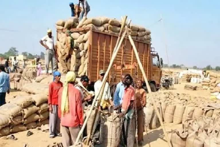 Paddy procurement in Chhattisgarh