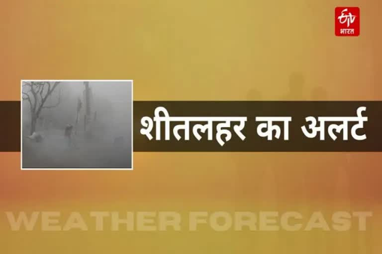 Cold wave alert in 13 districts of Rajasthan