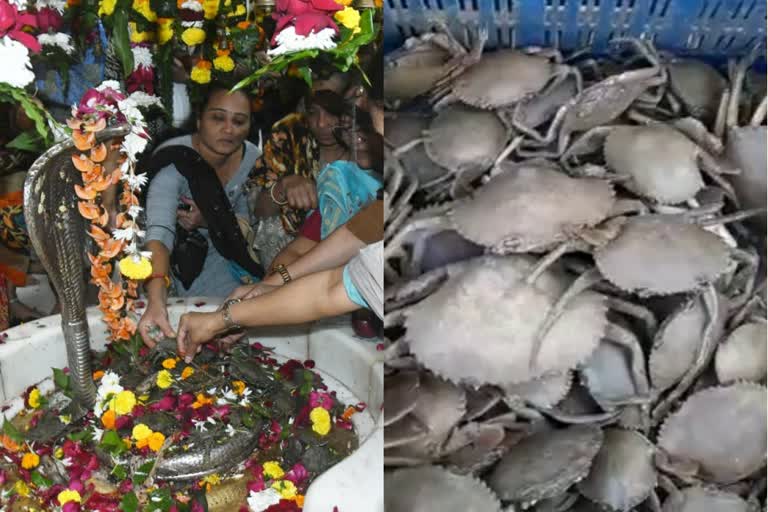 శివుడికి బతికున్న పీతలతో అభిషేకం చేయడం, పీతలను నైవేద్యంగా సమర్పించడం ఎప్పుడైనా చూశారా. గుజరాత్లోని సూరత్లో ఉన్న ఓ శివాలయంలో ఈ అరుదైన దృశ్యాన్ని చూడొచ్చు. ఉమ్రా ప్రాంతంలో ఉన్న రామ్నాథ్ ఘేలా ఆలయంలో పెద్ద ఎత్తున భక్తులు శివుడికి పీతలను సమర్పించుకుంటారు. శివుడికి బతికున్న పీతలతో అభిషేకం చేయడం, పీతలను నైవేద్యంగా సమర్పించడం ఎప్పుడైనా చూశారా. గుజరాత్లోని సూరత్లో ఉన్న ఓ శివాలయంలో ఈ అరుదైన దృశ్యాన్ని చూడొచ్చు. ఉమ్రా ప్రాంతంలో ఉన్న రామ్నాథ్ ఘేలా ఆలయంలో పెద్ద ఎత్తున భక్తులు శివుడికి పీతలను సమర్పించుకుంటారు.