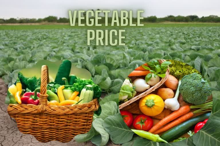 chhattisgarh vegetable price today