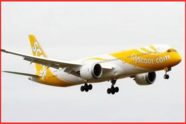 Scoot Airline