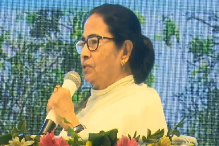 Mamata Banerjee