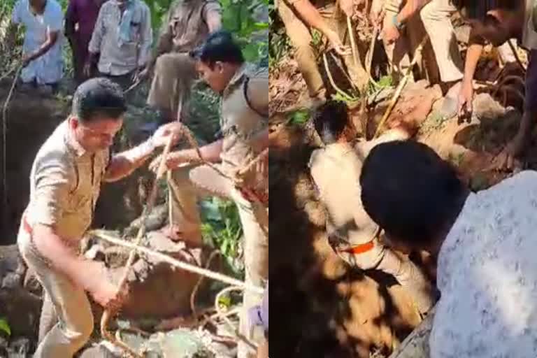 fire and rescue  Goat rescued from well  Goat rescued from well at Koduvally  fire and rescue Narikkuni  ഫയര്‍ ആന്‍റ് റെസ്‌ക്യൂ ഫോഴ്‌സ്  ഫയര്‍ ആന്‍റ് റെസ്‌ക്യൂ ഫോഴ്‌സ് നരിക്കുനി  നരിക്കുനി ഫയര്‍ ആന്‍റ് റെസ്‌ക്യൂ  കൊടുവള്ളി വലിയപറമ്പ്  കൊടുവള്ളി  ഫയർ ആന്‍റ് റെസ്ക്യൂ വിഭാഗം