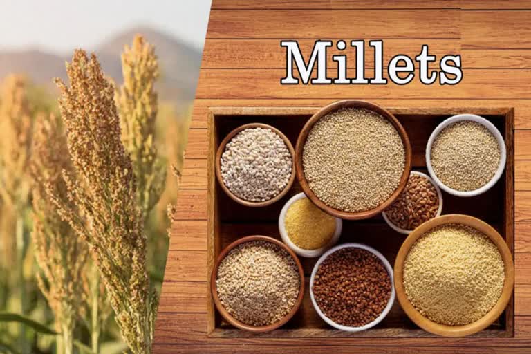 International Millet Expo 2023