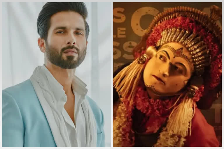 Shahid cites 'Kantara' as example of why only spectacles seem to work