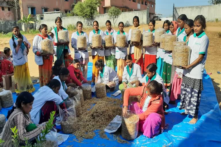 Mushroom cultivation training to rural women in Khunti