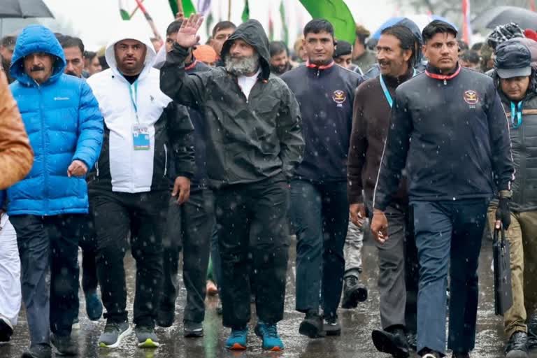 bharat jodo yatra  bharat jodo yatra from kathua  rahul wore jacket  kathua in jammu kashmir  bharat jodo yatra jammu kashmir  ഭാരത് ജോഡോ യാത്ര  ഭാരത് ജോഡോ യാത്ര ജമ്മു കശ്‌മീരിൽ  ജാക്കറ്റ് ധരിച്ച് രാഹുൽ ഗാന്ധി  രാഹുൽ ഗാന്ധി ടി ഷർട്ട്  രാഹുൽ ഗാന്ധി  രാഹുൽ ഗാന്ധി ഭാരത് ജോഡോ യാത്ര