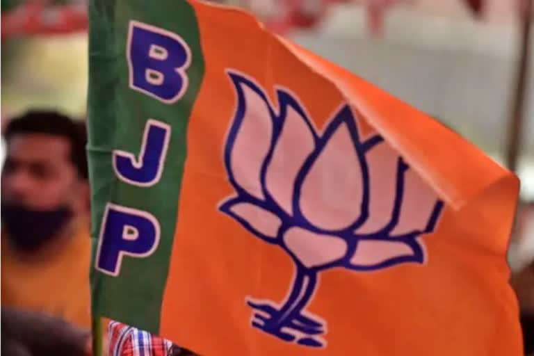 BJP flag