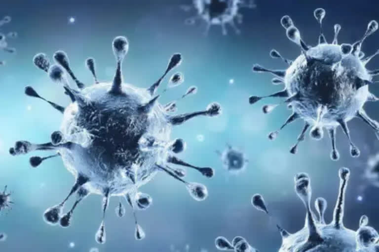 Hybrid immunity offers more protection against severe Covid than infection alone: Study