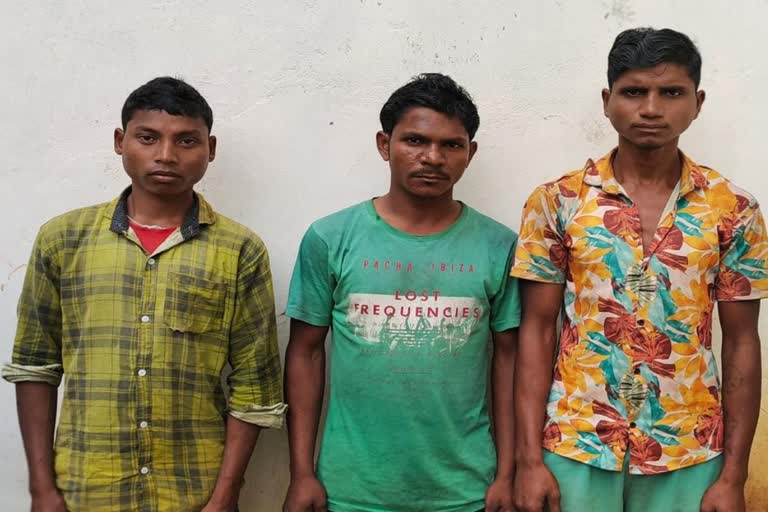 Naxalites arrested from Bijapur and Sukma