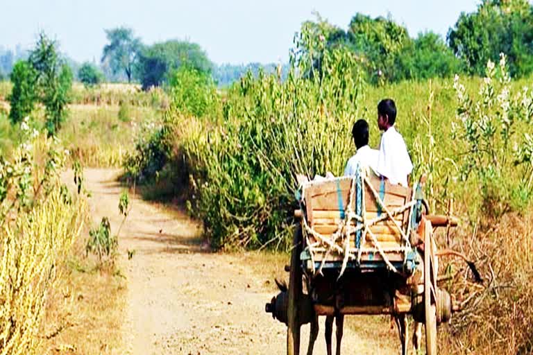 Lack Of Roads In Rural Areas