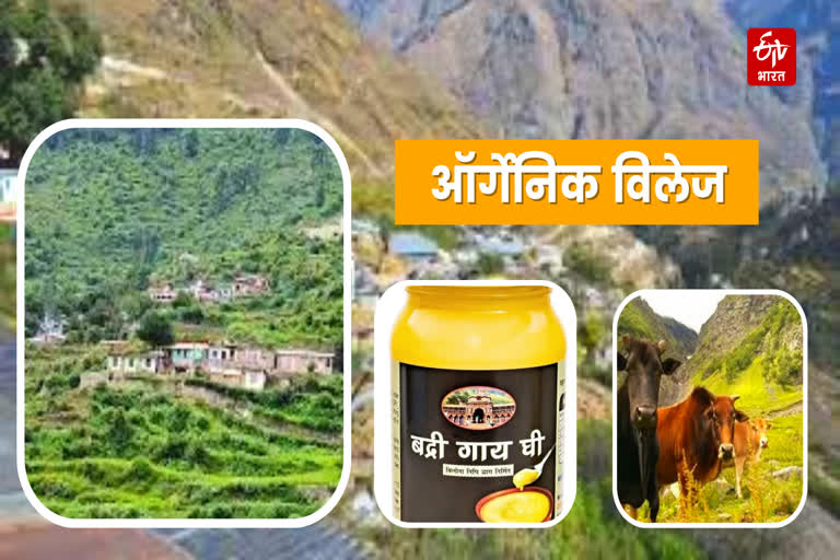 Uttarakhand Organic village