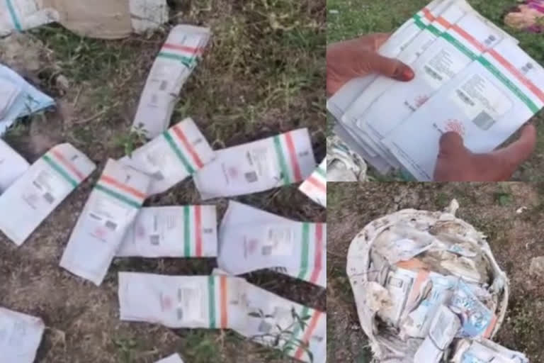 Aadhaar cards  at Road Side