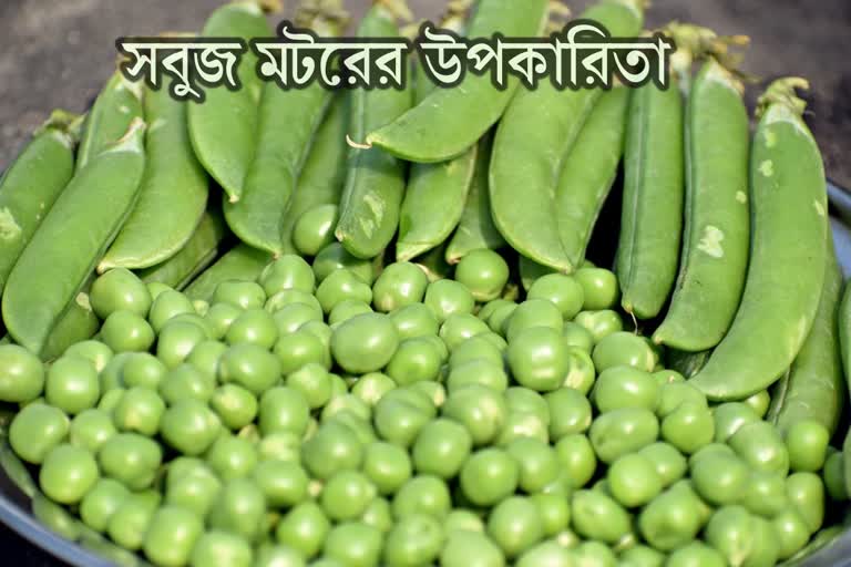 Benefits Of Green Peas News
