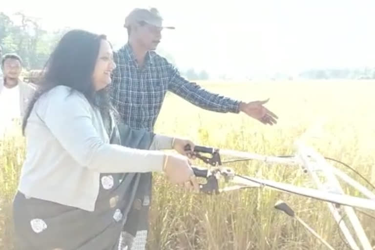 Paddy procurement centre opened for farmers in Dhansiri