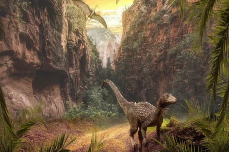 Paleontologists find rare dinosaur nests in Narmada valley