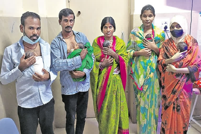 Kangaroo Father Care Center