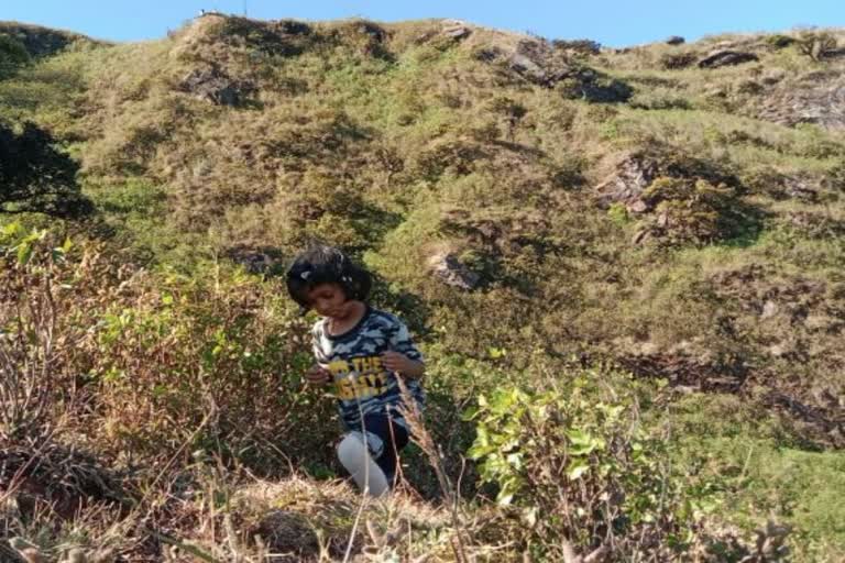 Anvi a three-year-old climber