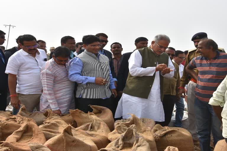 Chhattisgarh Record Paddy Purchase