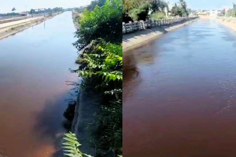 Jetpur Water canal: પ્રદૂષણ માફિયાઓએ સિંચાઈની કેનાલને પણ ના મૂકી, કેનાલનું પાણી કરી દીધું લાલચોળ