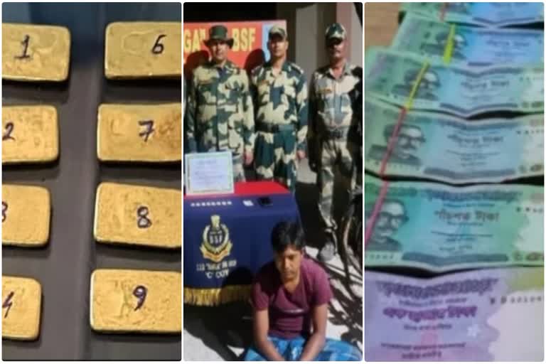 BSF Arrested 2 Smugglers