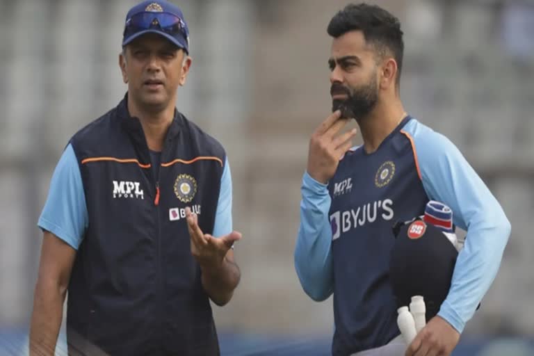 Dravid On Virat Kohli s Position In T20I Team  Rahul Dravid On Virat Kohli  Indian cricket team  Rahul Dravid  Virat Kohli  Rohit sharma  india vs new zealand  വിരാട് കോലി  രാഹുല്‍ ദ്രാവിഡ്  രോഹിത് ശര്‍മ  വിരാട് കോലി ടി20 കരിയര്‍  ഇന്ത്യ vs ന്യൂസിലന്‍ഡ്