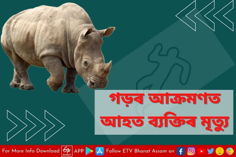 Mofidul ahmed injured in rhino attack in Lakhimpur dies