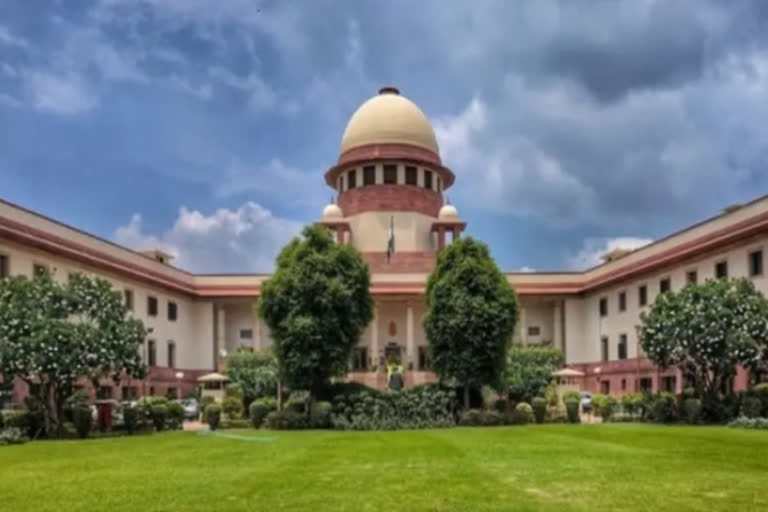 SC asks NGT to hear afresh Curlies restaurant owners plea