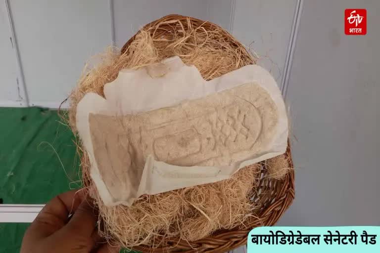 biodegradable sanitary pads Etv Bharat
