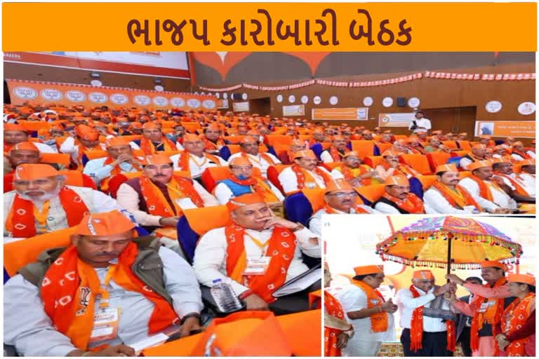 BJP Executive Meeting નબળા બૂથોને મજબૂત કરવા પટેલ અને પાટીલની સૂચના, લોકસભા ચૂંટણીની બનાવી વ્યૂહરચના