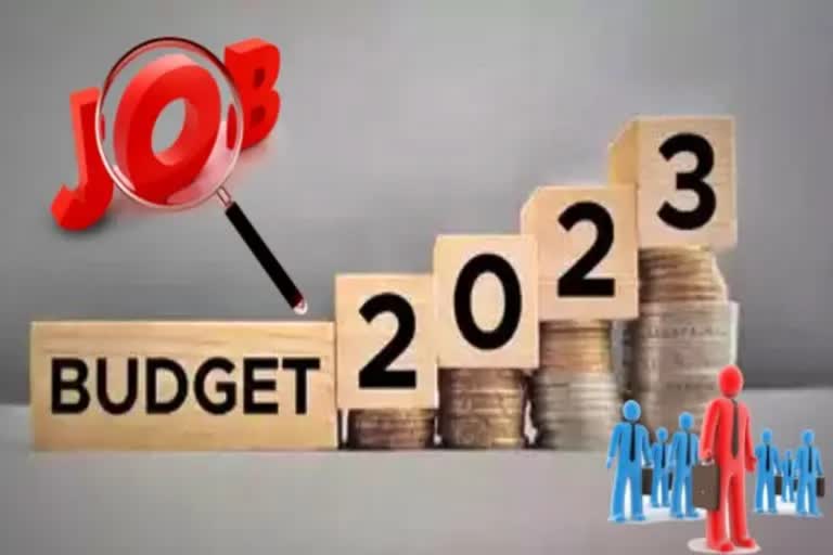 Union Budget 2023 expected to focus on employment