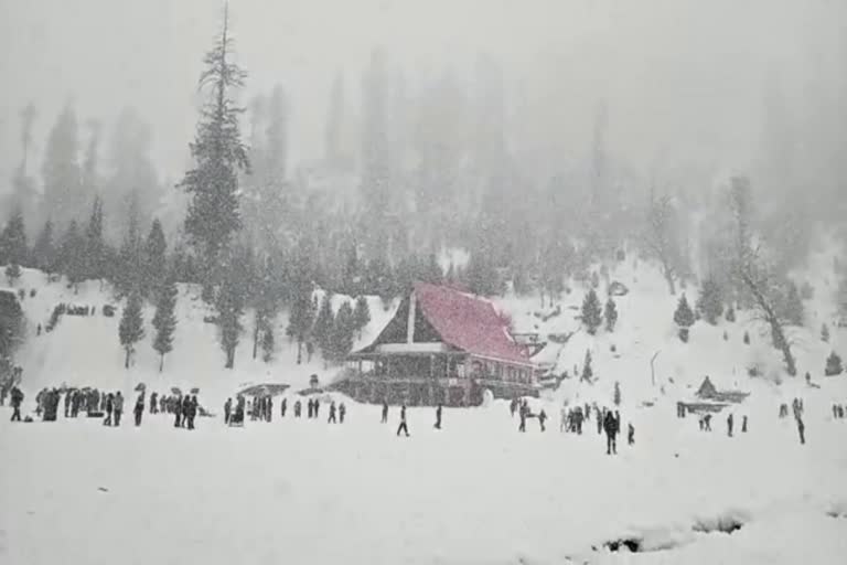 Heavy Snowfall In Himachal Pradesh