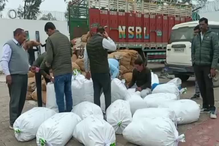 5 quintals 61 kg ganja recovered in Palwal