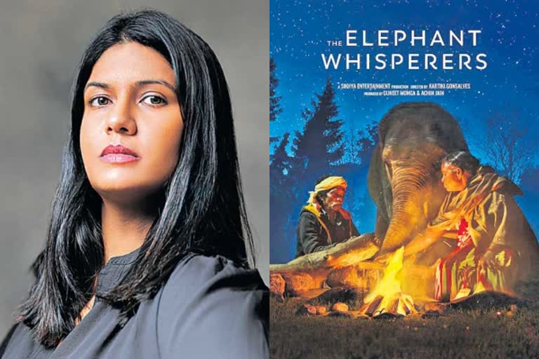 oscar nominated short movie the elephant whisperes