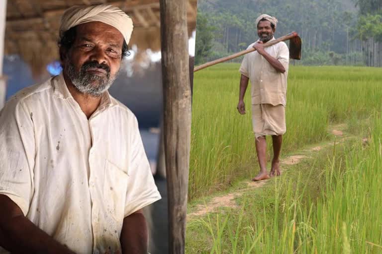 Pathmashree cheruvayal raman  cheruvayal raman life story  cheruvayal raman  rice seeds protector  thrissur agriculture university senate member  latest news in wayanad  latest news today  നെല്‍വിത്തുകളുടെ സംരക്ഷകന്‍  ഭാരതത്തിന്‍റെ അഭിമാന പുരസ്‌കാരമായ പത്‌മശ്രീ  പത്‌മശ്രീ ചെറുവയല്‍ രാമന്‍  ചെറുവയല്‍ രാമന്‍  ചെറുവയല്‍ രാമന്‍റെ ജീവിത കഥ  പത്മശ്രീ  തൃശൂര്‍ കാര്‍ഷിക സര്‍വകലാശാല  കാര്‍ഷിക സര്‍വകലാശാല സെനറ്റ് അംഗം  വയനാട് ഏറ്റവും പുതിയ വാര്‍ത്ത  ഇന്നത്തെ പ്രധാന വാര്‍ത്ത