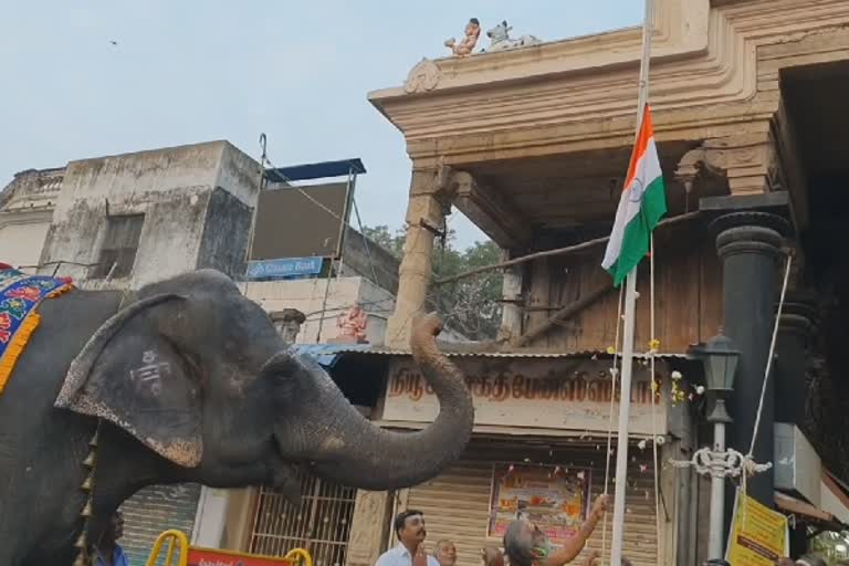 Republic day: தேசியக்கொடிக்கு மரியாதை செய்த நெல்லை கோயில் யானை!, a-temple-elephant-paying-homage-to-the-national-flag-at-tirunelveli