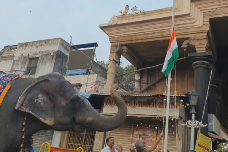 watch-elephant-paying-tributes-to-national-flag-in-tamil-nadu-watch