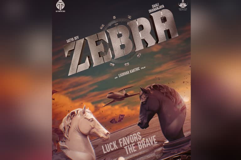 zebra movie